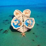 İstiridye Kabuğunun Büyüsü Doğal Mum